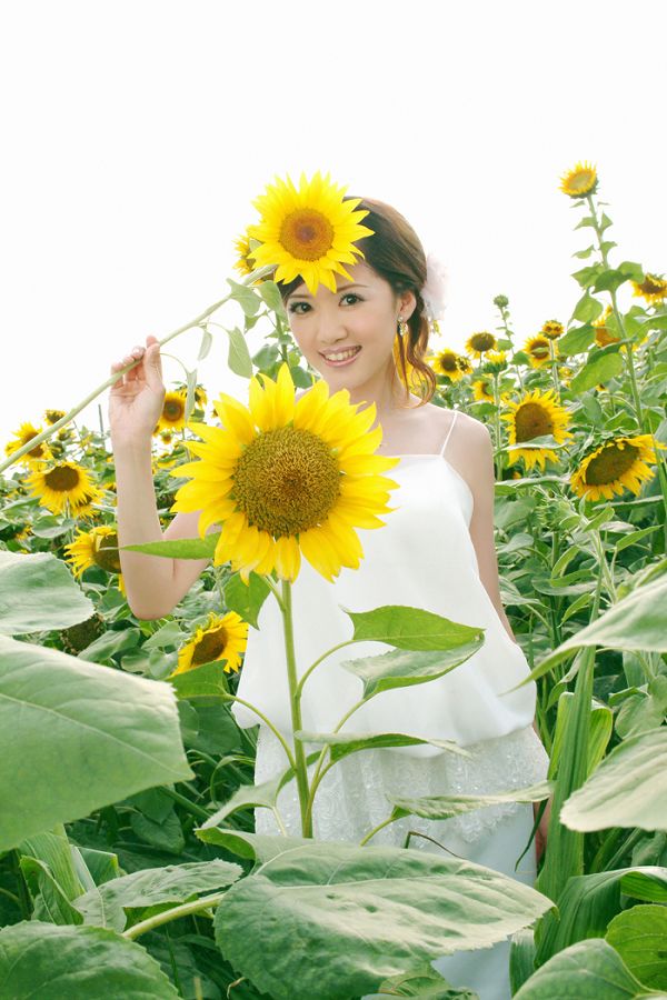 葵花仙子阳光版写真